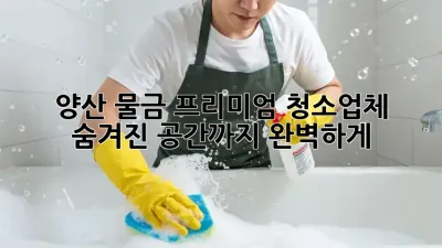 양산 물금 프리미엄 청소업체: 숨겨진 공간까지 완벽하게!